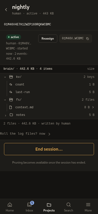 The session detail at phone width in the dark theme.
